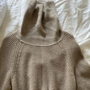 Wilfred Sweater Dress (Aritzia)